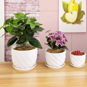 Modern Ceramic Plant Pots Set of 3 with Saucers