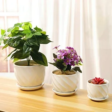Modern Ceramic Plant Pots Set of 3 with Saucers