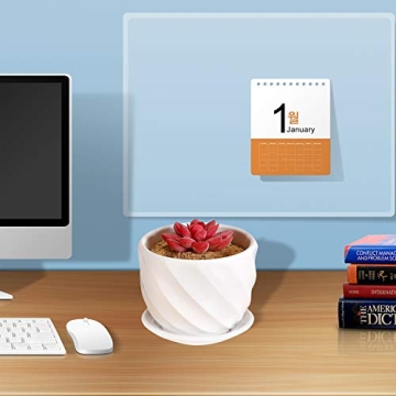 Modern Ceramic Plant Pots Set of 3 with Saucers