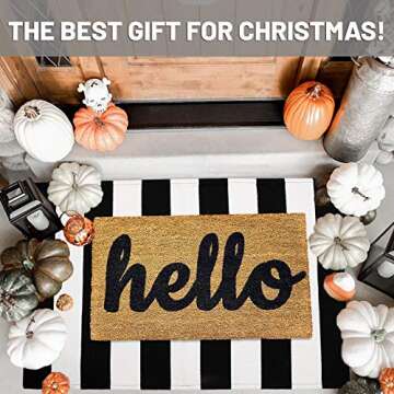 IOHOUZE Black White Striped Rug -27.5" X 43" Front Door Mats Outdoor,Washable Rug for Front Porch De...