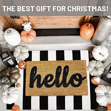 IOHOUZE Black White Striped Rug -27.5" X 43" Front Door Mats Outdoor,Washable Rug for Front Porch De...