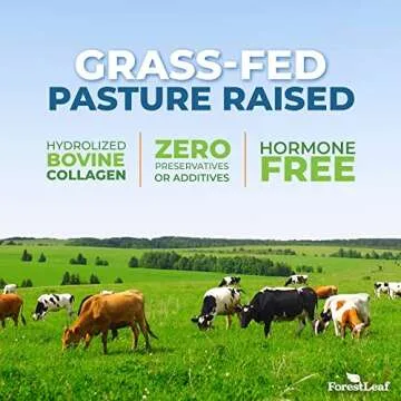 Unflavored Grass Fed Collagen Peptides Powder for Vitality