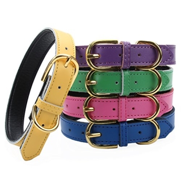 Aolove Basic Classic Padded Leather Pet Collars for Cats Puppy Small Medium Dogs (Medium (Neck 11.5"...
