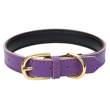 Aolove Classic Padded Leather Dog Collar for Pets