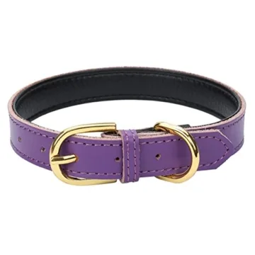Aolove Classic Padded Leather Dog Collar for Pets