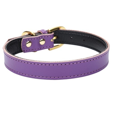 Aolove Classic Padded Leather Dog Collar for Pets