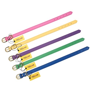 Aolove Classic Padded Leather Dog Collar for Pets