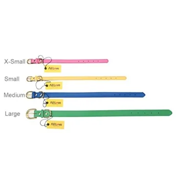 Aolove Classic Padded Leather Dog Collar for Pets