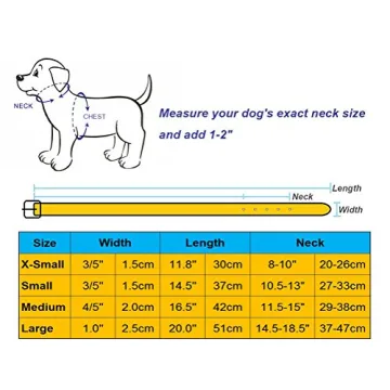 Aolove Classic Padded Leather Dog Collar for Pets