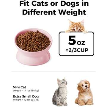 LoeJan Elevated Cat Food Bowl, 5 Oz Ceramic Raised and Tilted Water Bowl, Anti Vomiting and Protect ...