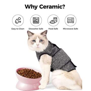 LoeJan Elevated Cat Food Bowl, 5 Oz Ceramic Raised and Tilted Water Bowl, Anti Vomiting and Protect Pets' Spines Dishes for Small Dog, Fat Faced Cat, Kitten (Pink, 1 Pack)