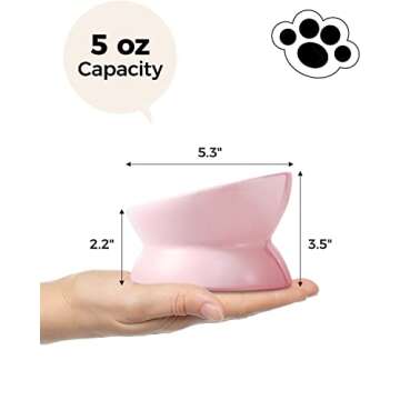 LoeJan Elevated Cat Food Bowl, 5 Oz Ceramic Raised and Tilted Water Bowl, Anti Vomiting and Protect Pets' Spines Dishes for Small Dog, Fat Faced Cat, Kitten (Pink, 1 Pack)