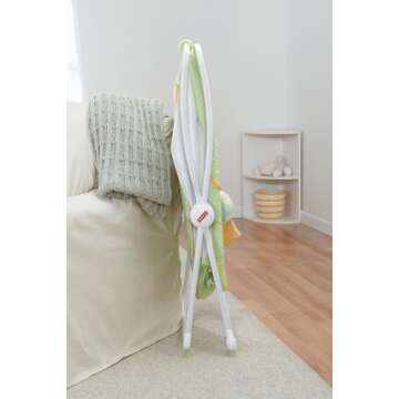 Fisher-Price Rock with Me Bassinet