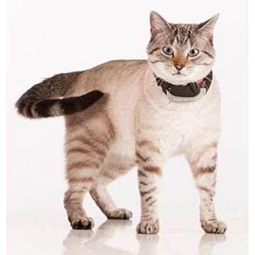 Marco Polo Advanced Pet Monitoring & Tracking System for Pets