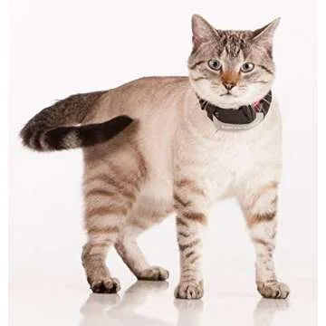 Marco Polo Advanced Pet Monitoring & Tracking System for Pets