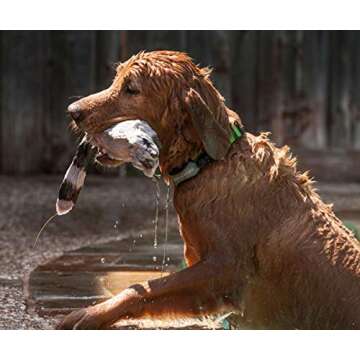 Marco Polo Advanced Pet Monitoring & Tracking System for Pets