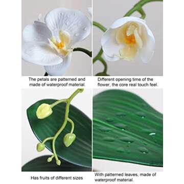 Forlaoers Elegant 17" White Orchid Silk Floral Arrangement