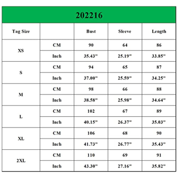 Roiii Women's Casual Long Sleeve Dress Sundress Swing Dress Tunic Dress Button Down Loose Flowy Swing Shift Dresses