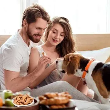 Dioycli Mini Silicone Molds Dog Treat Molds, 106 Cavity Dog Bone and 69 Cavity Paw Print Silicone Mold, 2 PCs Food Grade Chocolate Molds for Baking Cookie, Candy, Biscuits