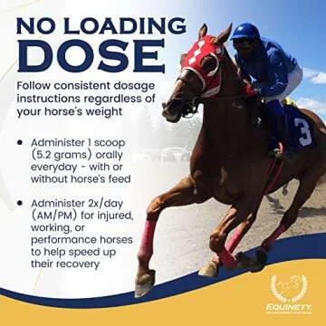 100-Day Horse XL Supplement for Optimal Health