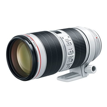 Canon EF 70-200mm f/2.8L IS III USM Lens for Canon DSLRs