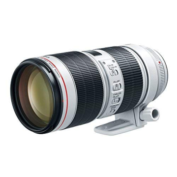 Canon EF 70-200mm f/2.8L IS III USM Lens for Canon DSLRs