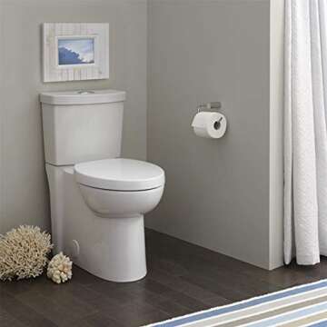 American Standard Luxury Studio Dual Flush Toilet