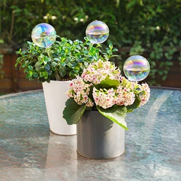 Stylish Automatic Plant Waterer Bulbs for Home Decor