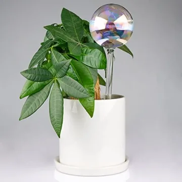 Stylish Automatic Plant Waterer Bulbs for Home Decor