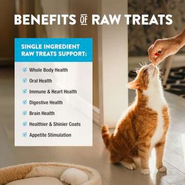 Northwest Naturals Raw Rewards Freeze-Dried Minnow Treats for Dogs and Cats - Bite Sized Pieces - Grain Free - 1 Ingredient - Healthy - Human Grade - All Natural - USA Made - 1 Oz