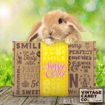 EASTER CANDY CARE PACKAGE EASTER GIFT BOX - Filled With Cookies, Chocolate Bars, Marshmallow Peeps, Foil Egg Candies, Sweet Snacks, + More! PERFECT For Girls Boys Kids College Students Adults