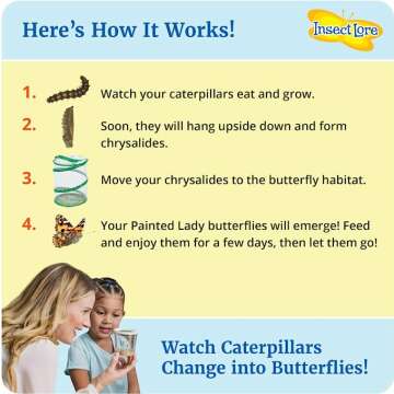Butterfly Garden Kit for Home & Garden Enthusiasts