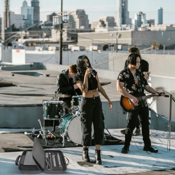 Large Wireless Microphone Case for JBL & Shure