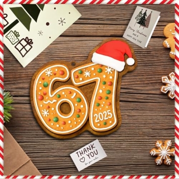 67 Christmas Ornament 2025 – Funny Gingerbread Meme Decoration Ideal for All Ages