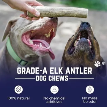 Devil Dog Pet Co. Elk Antlers - Durable Chews for Dogs