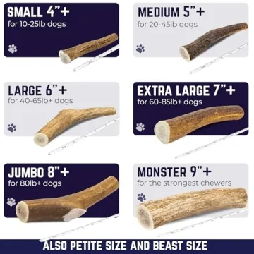 Devil Dog Pet Co. Elk Antlers - Durable Chews for Dogs