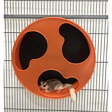 Silent Runner 12" Wheel - The Ultimate Fitness Wheel for Pets