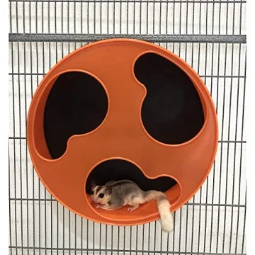 Silent Runner 12" Wheel - The Ultimate Fitness Wheel for Pets