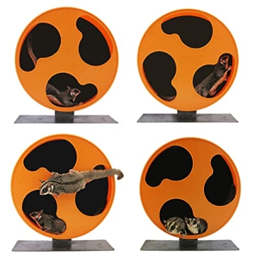 Silent Runner 12" Wheel - The Ultimate Fitness Wheel for Pets