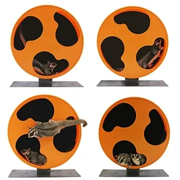 Silent Runner 12" Wheel - The Ultimate Fitness Wheel for Pets