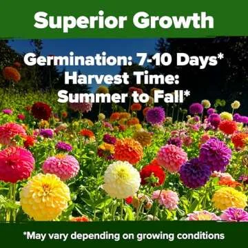 HOME GROWN Zinnia Dahlia Seeds Pack- Bulk Flower Seeds to Plant Outside for Vibrant Blooms, 524 Zinnia Seeds Perfect for Pollinator-Friendly Gardens, Borders, and Containers (Zinnia Elegans)