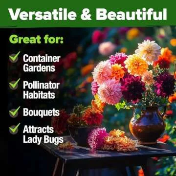 HOME GROWN Zinnia Dahlia Seeds Pack- Bulk Flower Seeds to Plant Outside for Vibrant Blooms, 524 Zinnia Seeds Perfect for Pollinator-Friendly Gardens, Borders, and Containers (Zinnia Elegans)