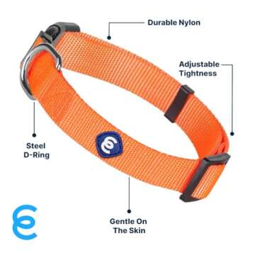 Blueberry Pet Essentials Matching Large Dog Collar | Adjustable Classic Solid Color Nylon Dog Collars for Large Dogs | Florence Orange Dog Collar for Large Dogs