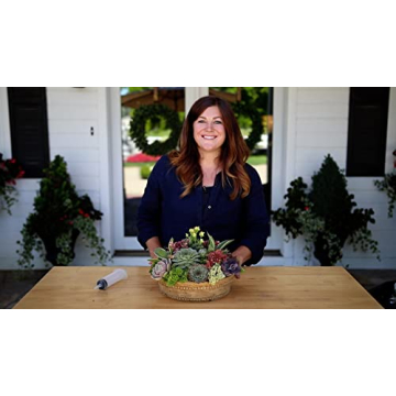 Espoma Organic Cactus Potting Soil Mix for Thriving Plants