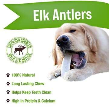 Buck Bone Organics Dog Chews, Elk Antlers for Dogs, Long Lasting Dog Bones for Aggressive Chewers, A...
