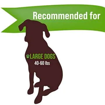 Buck Bone Organics Long Lasting Elk Antlers for Dogs