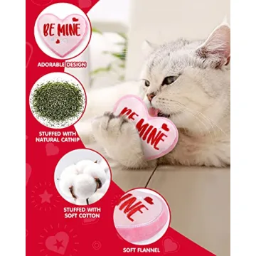 CiyvoLyeen Valentine's Day Catnip Toys Set for Cats