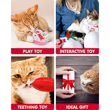CiyvoLyeen Valentine's Day Catnip Toys Set for Cats