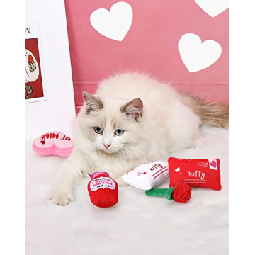 CiyvoLyeen Valentine's Day Catnip Toys Set for Cats