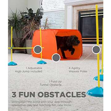 Outward Hound Zip & Zoom Indoor Dog Agility Training Kit for Fun and Exercises